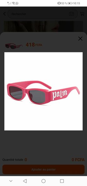 Lunettes de Soleil Modernes Palm