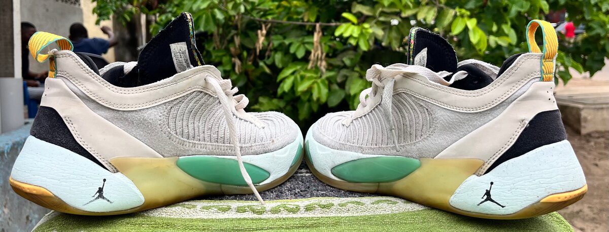 Jordan Luka 1 Next Nature Bois