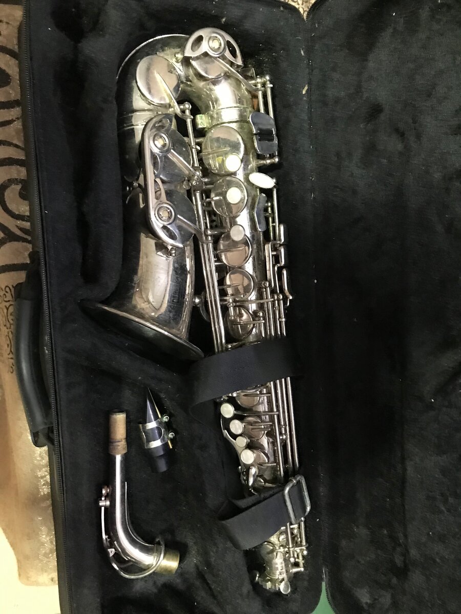 Saxophone Alto Argenté avec Étui