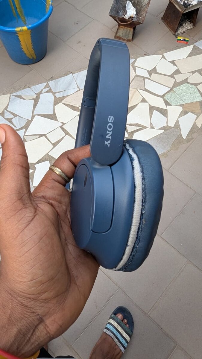 Écouteurs Sony bleus