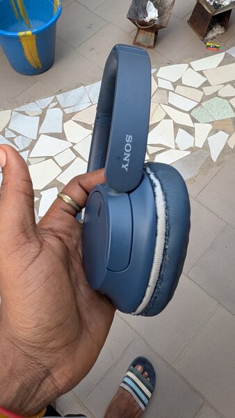 Écouteurs Sony bleus