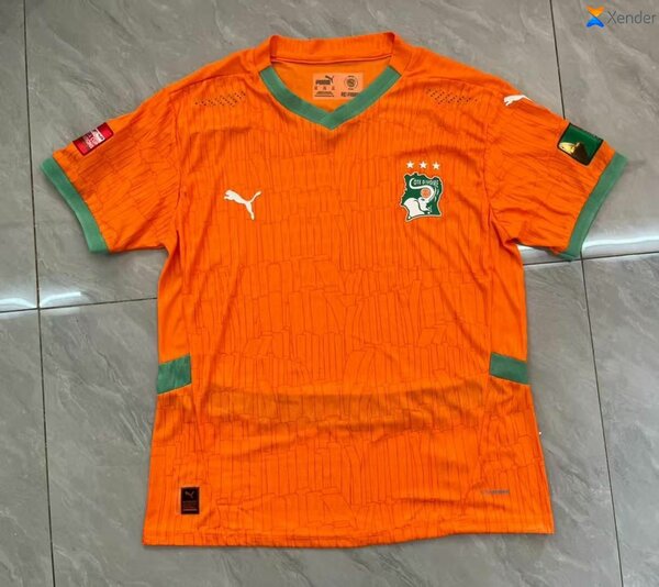 Maillot Côte d'Ivoire Puma