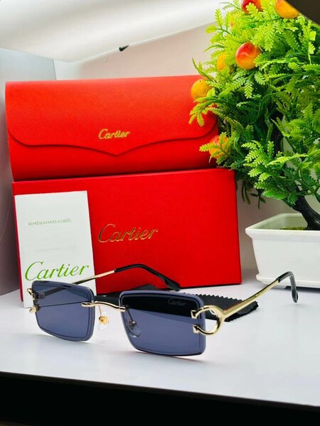Lunettes Cartier Chic Homme