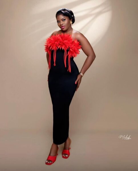 Robe élégante noire à plumes