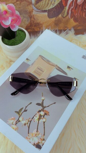 Lunettes de soleil élégantes