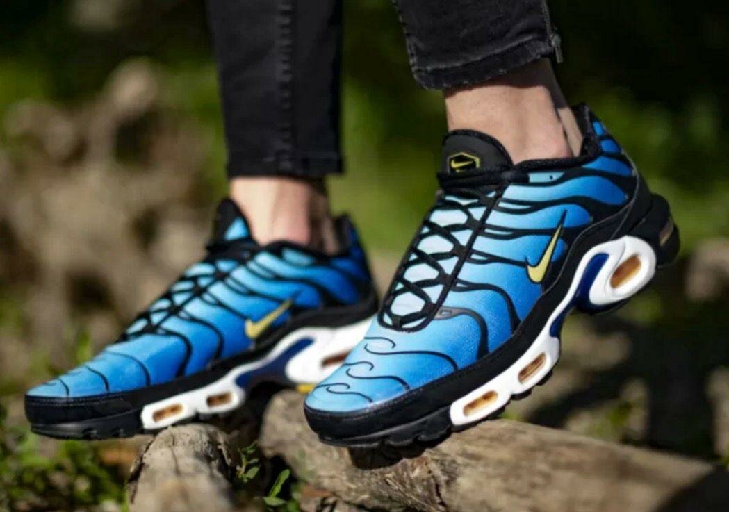 Chaussures Nike TN Air Max Plus - bleu vert