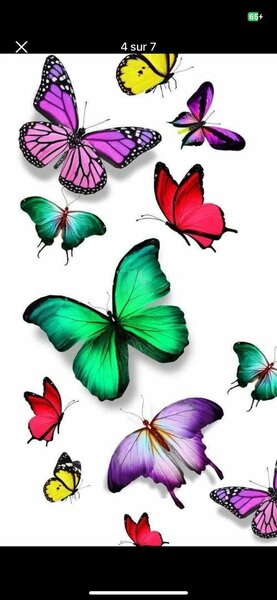 Papillons décoratifs