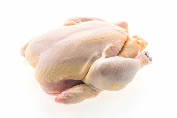 Poulet de chair frais entier