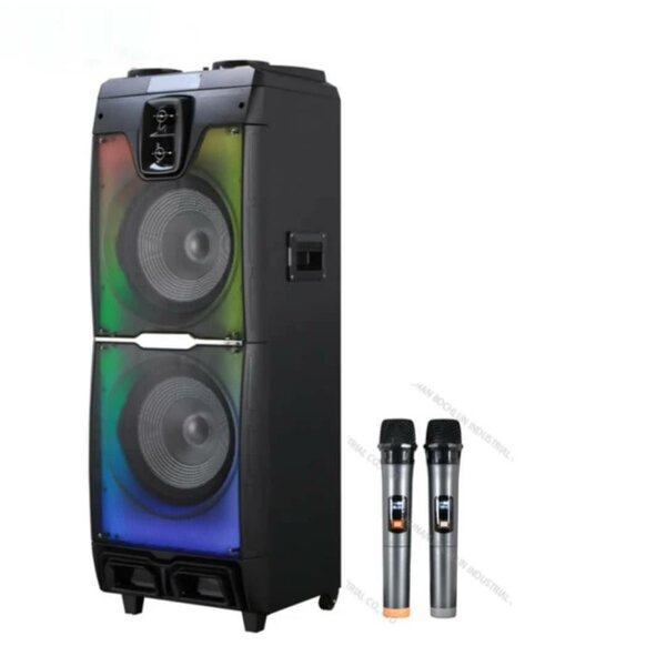 Haut-parleur Bluetooth portable sans fil pour karaoké audio