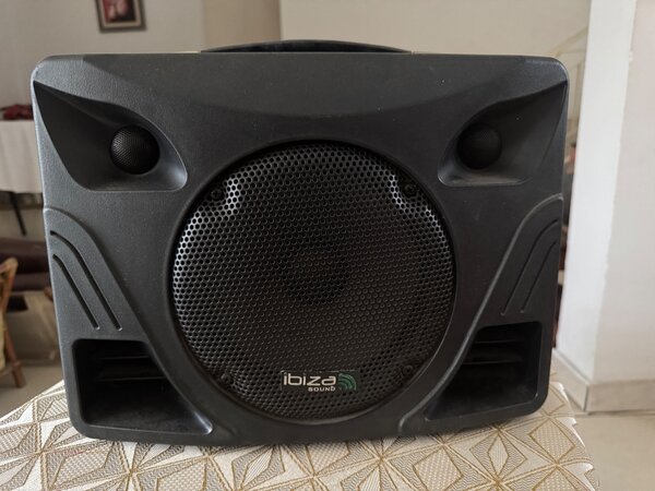 Portable Karaoke Speaker System