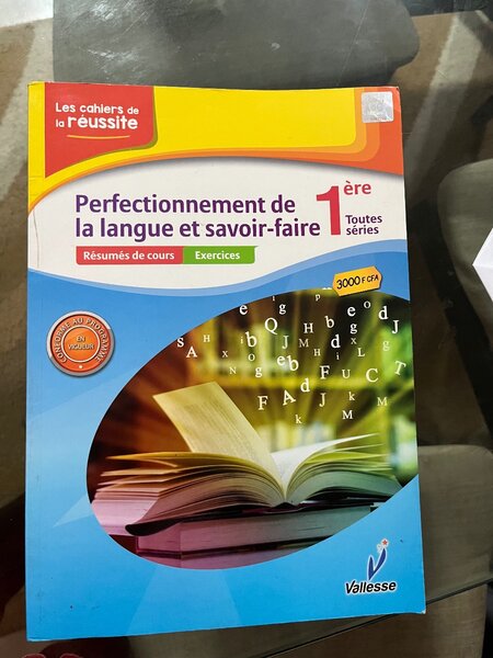 Cahier Réussite Langue 1ère