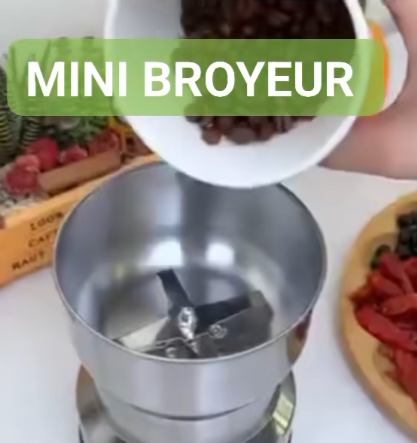 🥰GRANDE PROMO MINI BROYEUR🥰 Mini broyeur électrique multifonction, en acier inoxydable.