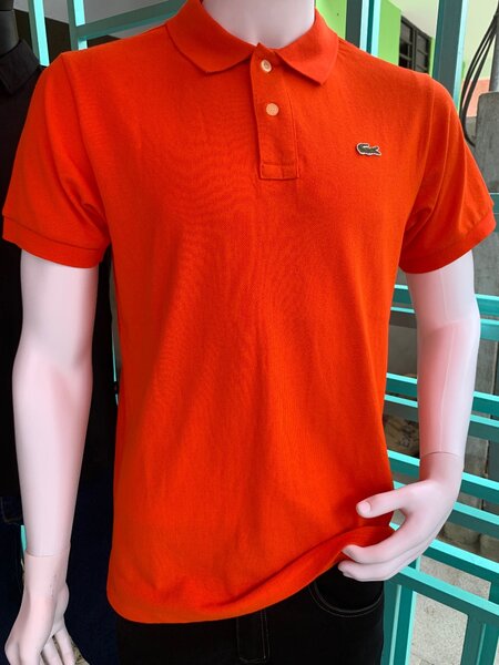 Polo homme élégant classique