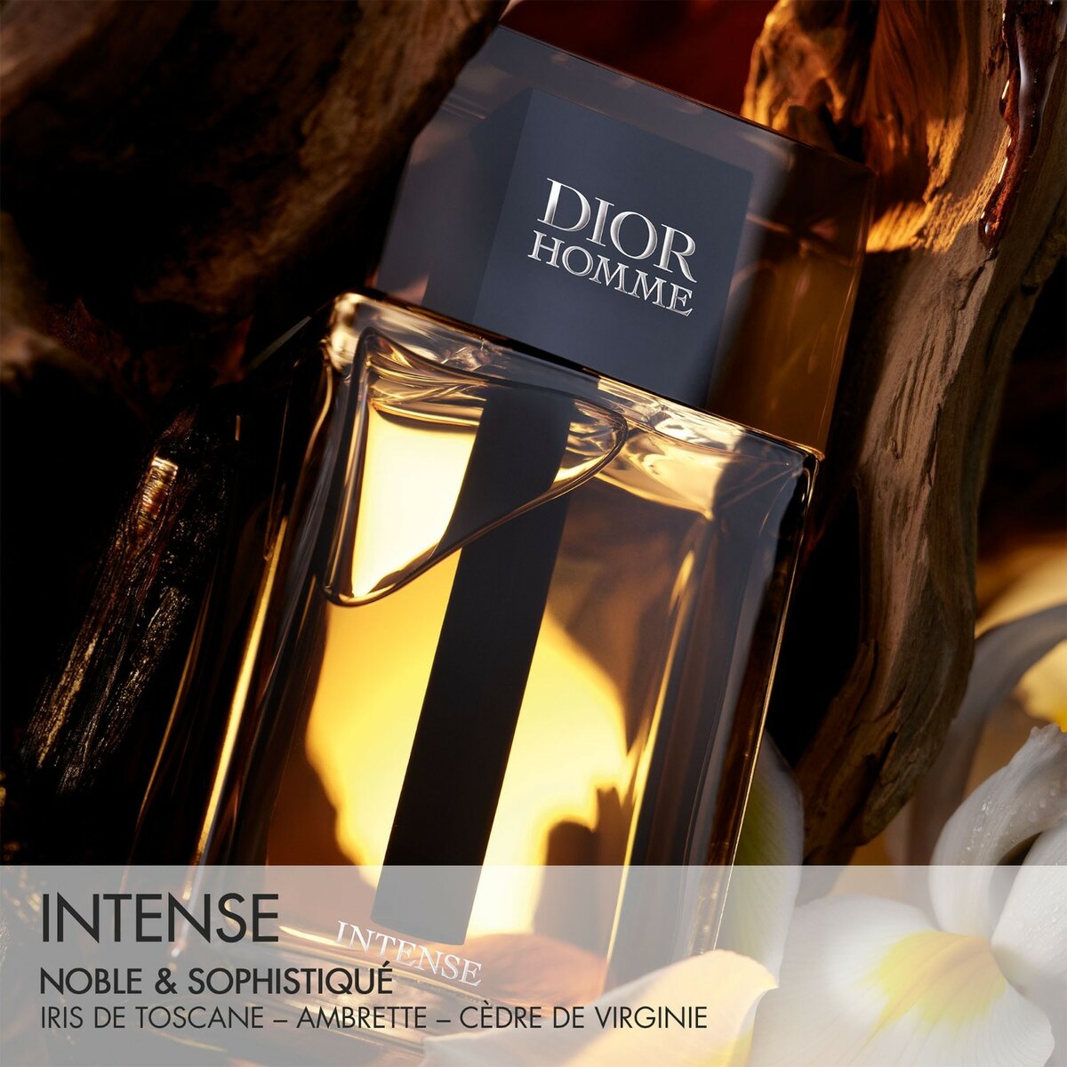 Parfum Homme Dior Intense