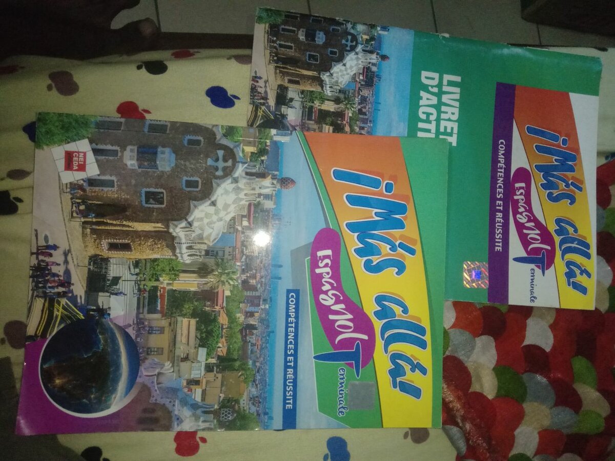 Lot de manuels scolaires Terminale