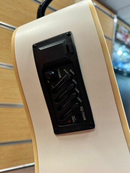 Semi Acoustic Guitar