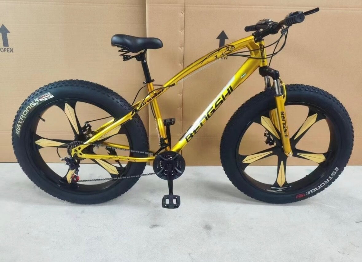 Vélo tout-terrain robuste