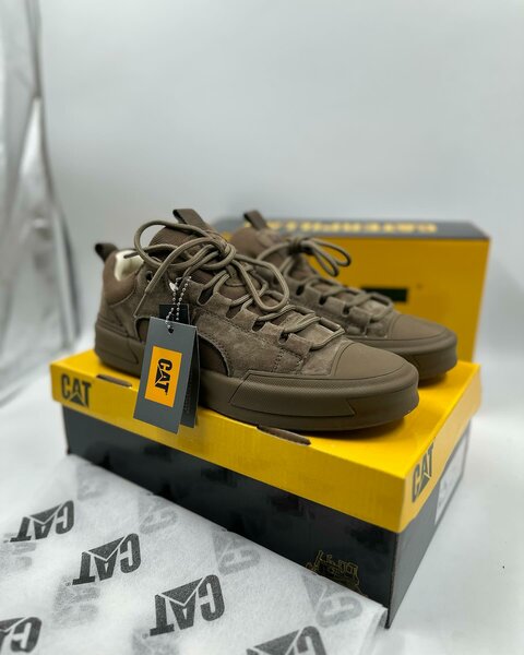 Authentic recommended CAT