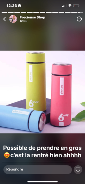 Bouteille Isotherme Portable