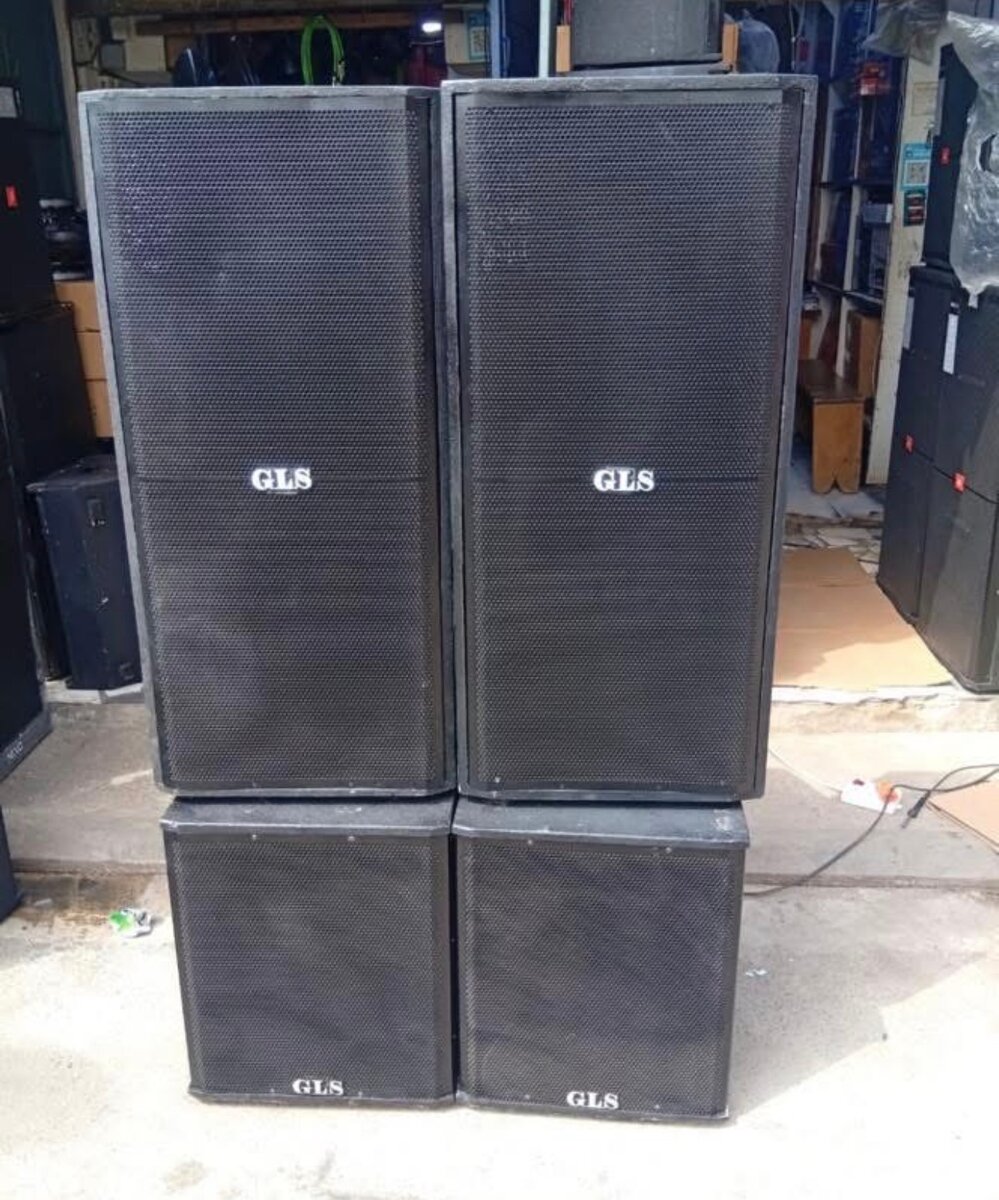 Enceinte professionnelle EV