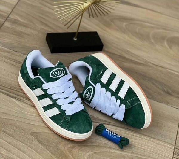 Adidas campus vert
