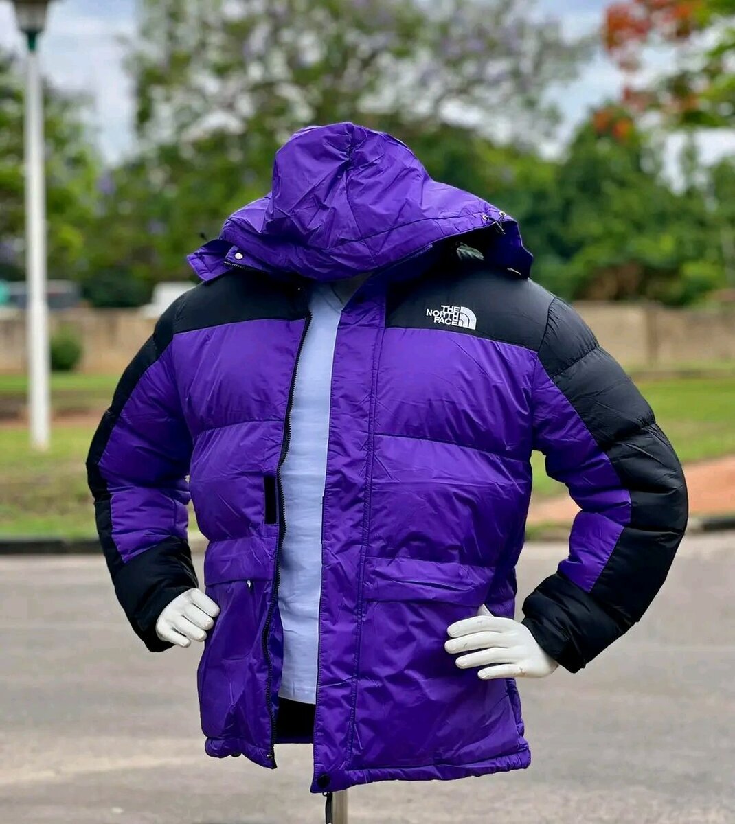 The north face