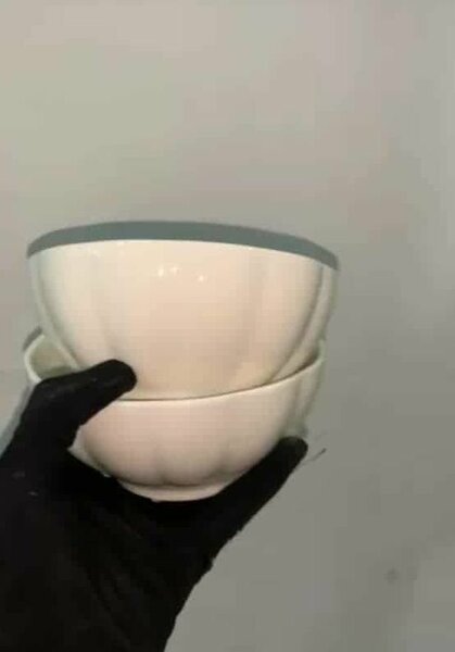 Assiette polyvalente