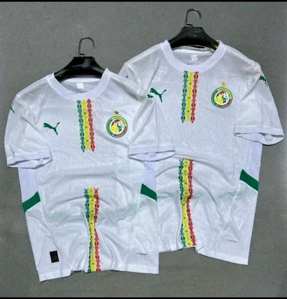 Maillot Sénégal Puma Blanc