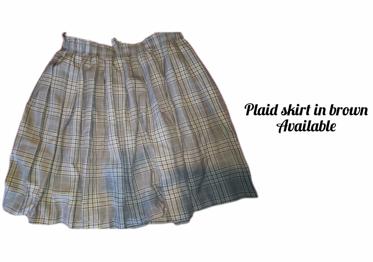 Ladies skirts