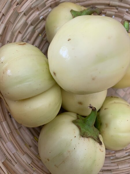 Aubergines Blanches Fraîches