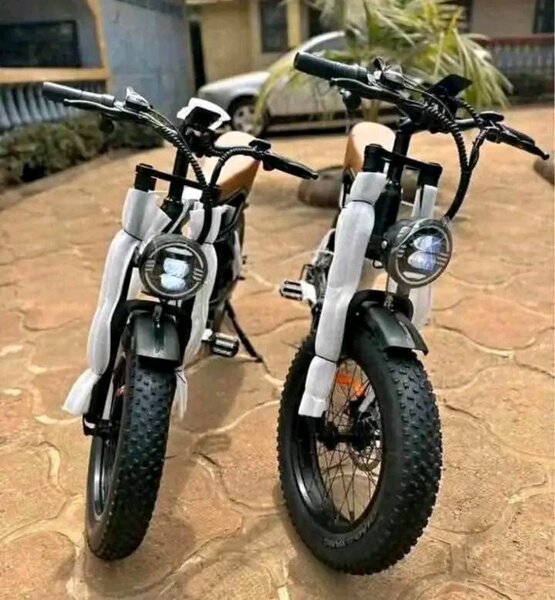 Vélo Électrique Pliable Tout-Terrain