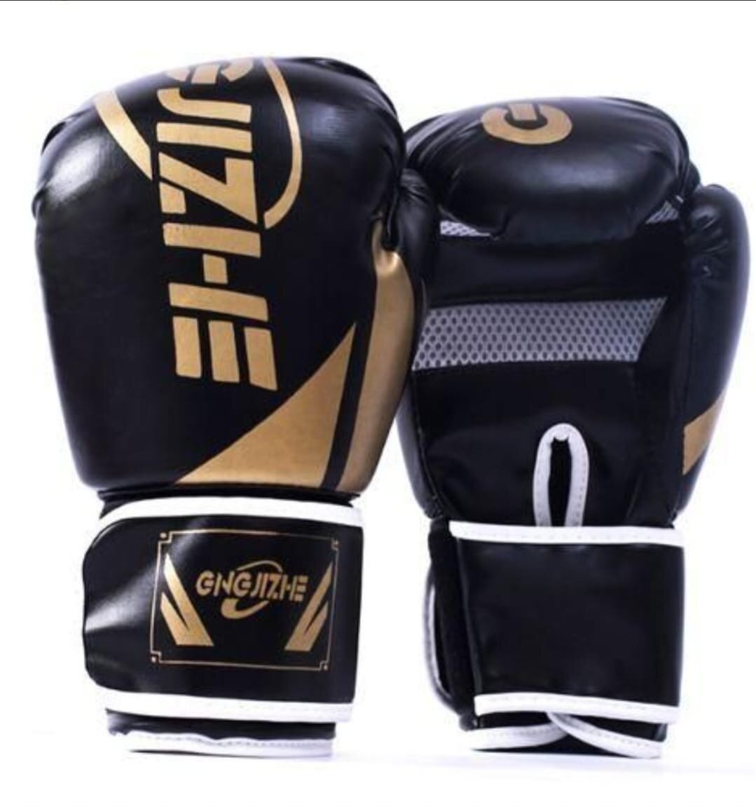 Gants de Boxe Leone