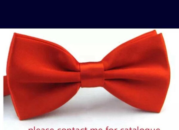 Nœud Papillon Rouge Élégant