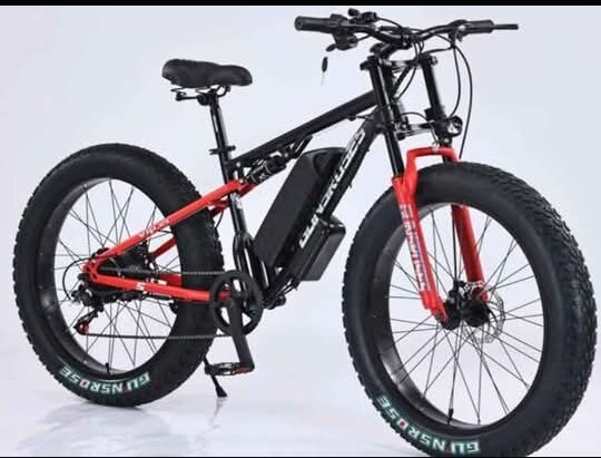 Vélo électrique tout-terrain