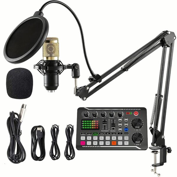 Kit Microphone USB avec Carte Son