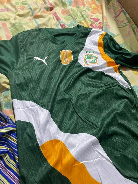 Maillot de foot Puma Cameroun