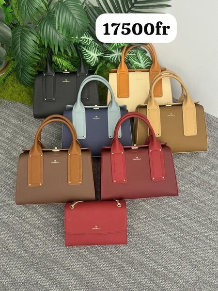 Sac à main en cuir élégants