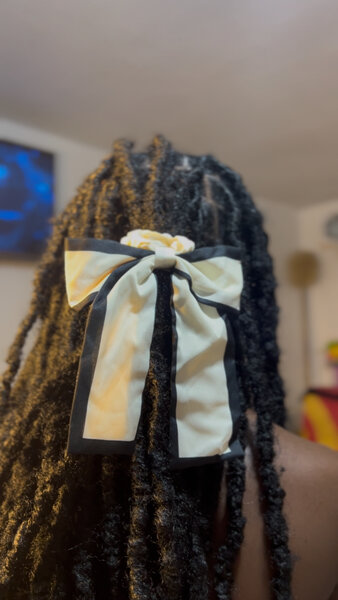 Élégante Barrette Noeud