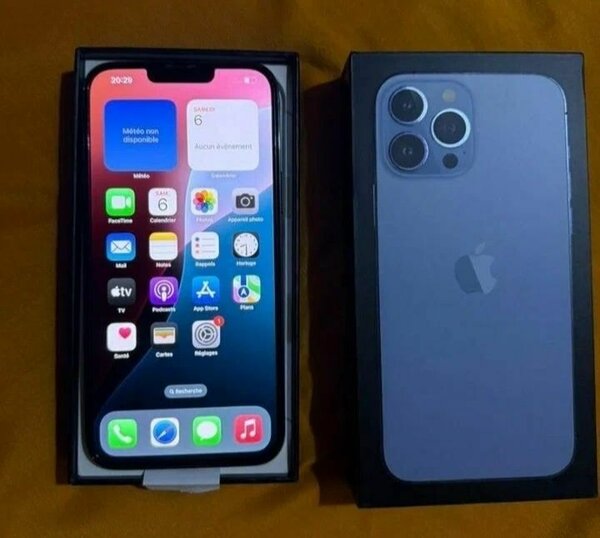 iPhone 13 Pro Max - 256Go