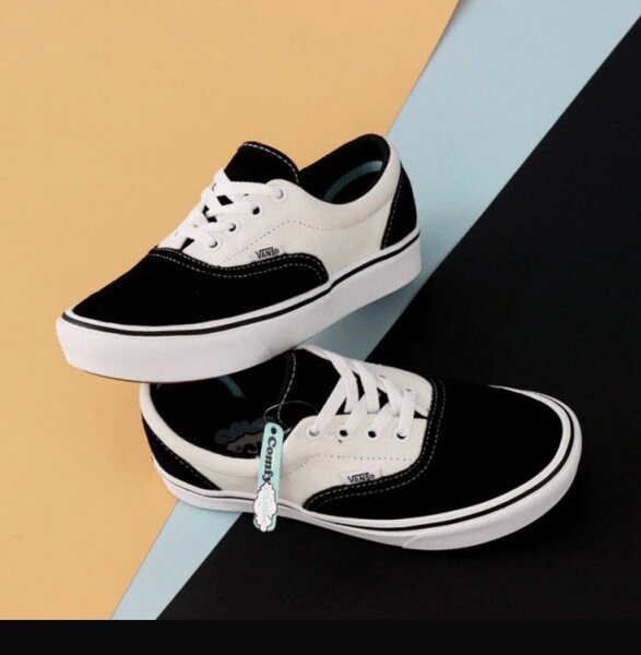 Vans authentique