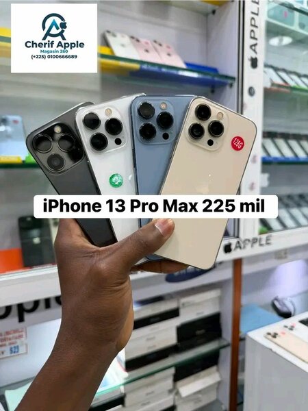 iPhone 13 Pro Max 256Go
