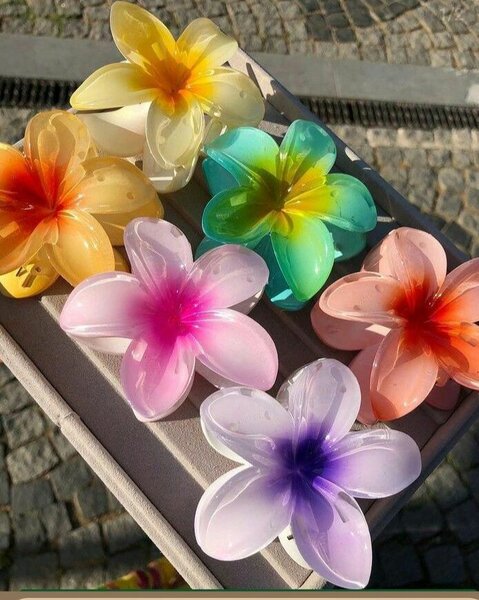 Épingles à cheveux fleurs colorées