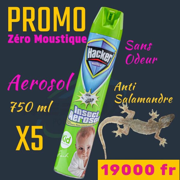 5 Aérosols Anti-Insectes 750ml