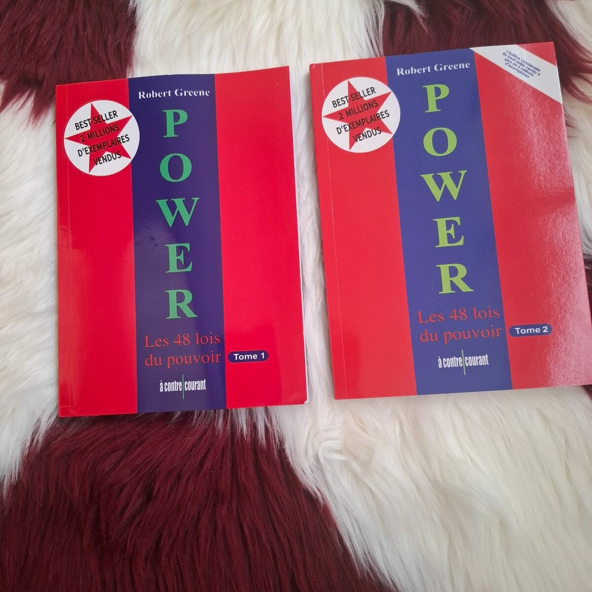 Livre 'Power' de Robert Greene