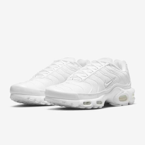 Chaussures Nike TN Blanc