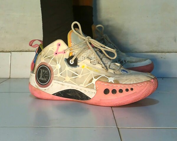 Chaussure de basket DWade