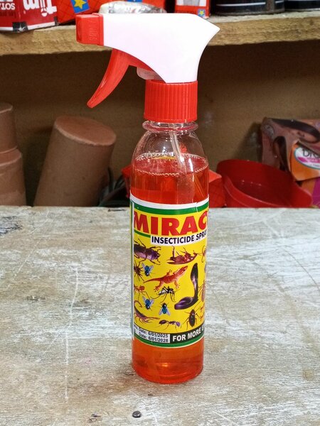 Miracle insecticide
