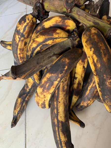 Bananes plantains mûres
