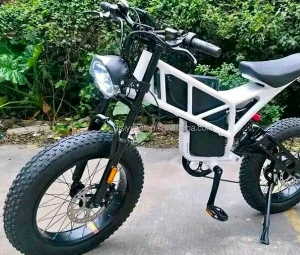 Vélo Électrique Tout Terrain Haut de Gamme