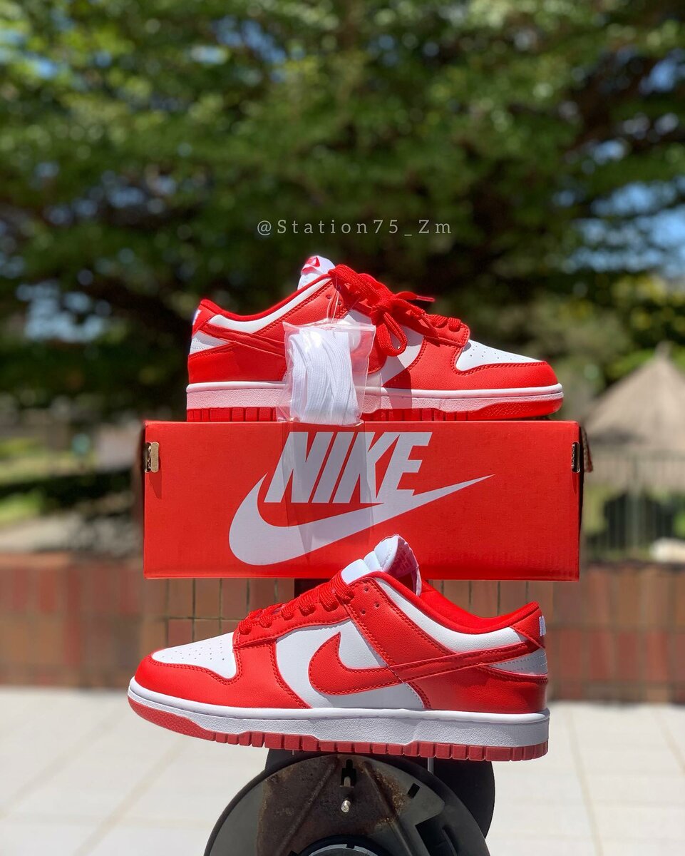 Nike Sb Dunks Low University Red